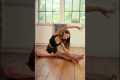 New gentle morning Pilates wake up
